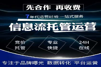 百度SEO推广策略案例：一家公司的成功转型之路