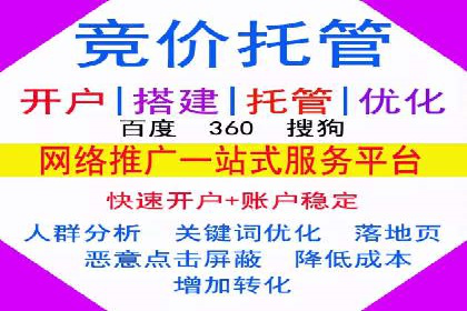 某企业通过百度SEM实现ROI最大化的案例